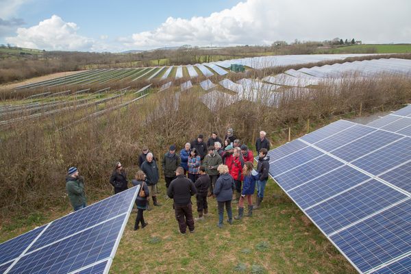 Community energy group in a solar panel field